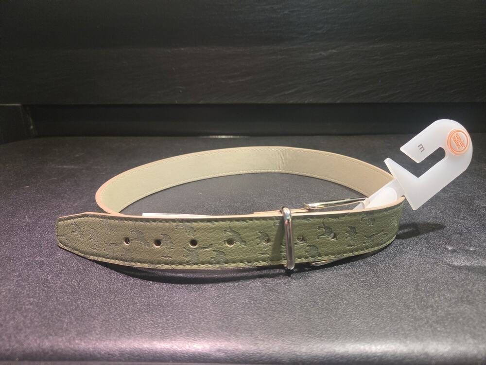 Wonder Nation Dinosaur Belt Green Embossed Dino T-Rex Silver Buckle Size M NWT